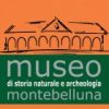 Museo di storia naturale e archeologica di Montebelluna